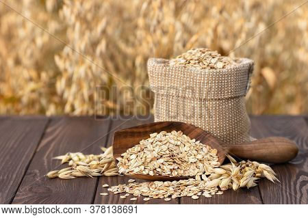 Raw Oatmeal In Bag And Wooden Scoop On Table With Ripe Cereal Field On The Background. Uncooked Porr