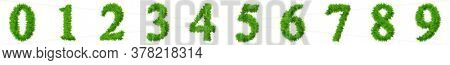 Conceptual set or collection of green grass, ecology font isolated white background for nature, conservation, natural, organic, education, ecology, environment health, spring or summer 3d illustration