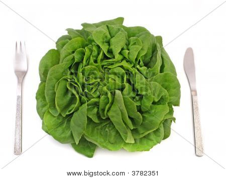 Salat salat