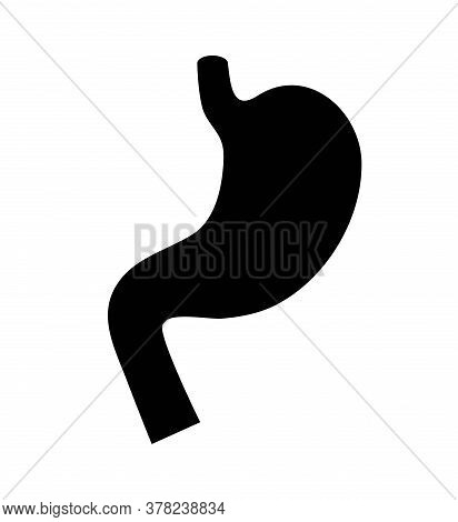 Stomach Icon Silhouette On White Background. Internal Organ Without Details