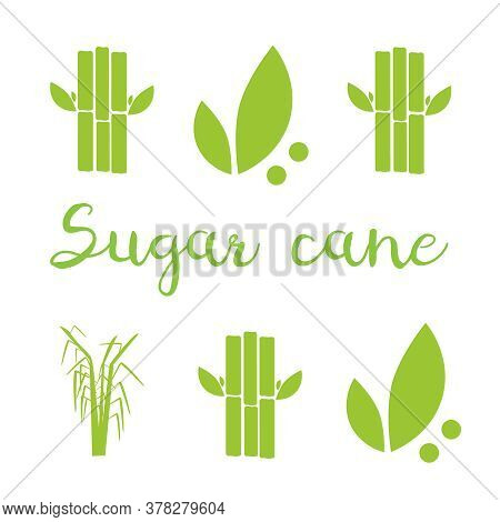 Sugar Cane Illustration. Sugar And Sugar Cane Labels