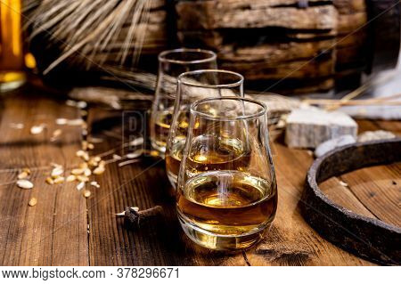 Speyside Scotch Whisky Tasting On Old Dark Wooden Vintage Table With Barley Grains Close Up