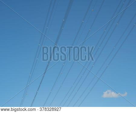Highest Electricity Pylons, High Voltage Pylons In Europe On The Elbe Near Hamburg