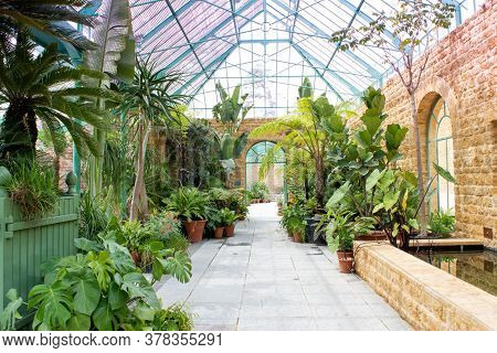 Castle Cary, Somerset. June 2020: Tropical Botanical Large Glass Greenhouse Filled With Luscious Ind