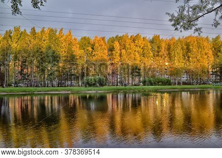 Russia, Petersburg, 06,10,2015 The Lake In The Autumn In The City Park