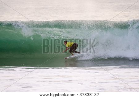 Taylor Knox