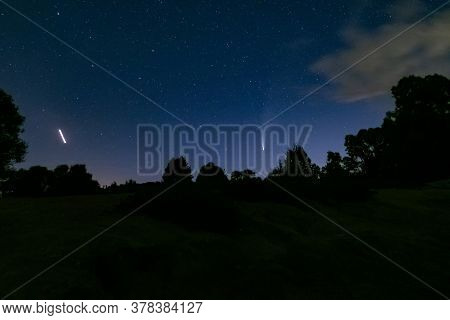 Neowise Comet C 2020 F3 Above Night Forest