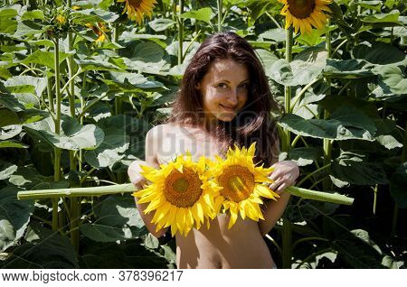 Girl Sunflower In Nature. Smiling Natural Brunette Haired Model Holding Sunflower. Cover Body With Y