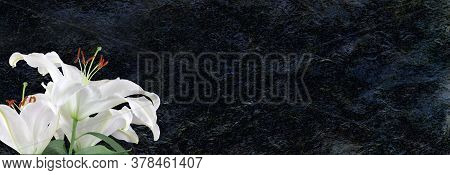 White Lily Deepest Sympathy  Background Banner - Lilies Against A Black Rustic Shiny Rock Face Backg