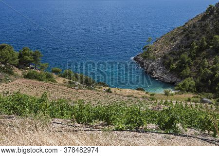 Nice View Of The Coastline With Sea And Sky On The Island Of Hvar In The Ivan Dolac Area.