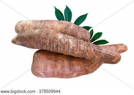 Cassava Tubers Fresh On Leaves Isolated White, Pile Cassava Manioc In Top View, Yucca Root For Flour
