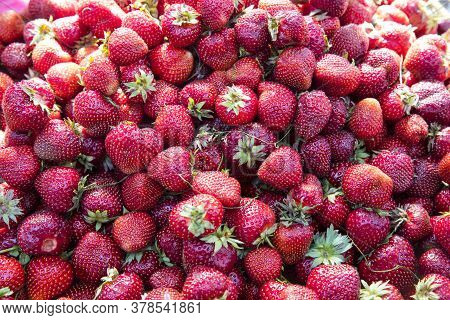 Fresh Organic Red Ripe Strawberry Fruit Background Closeup. Fresh Organic Berries Macro. Fruit Backg