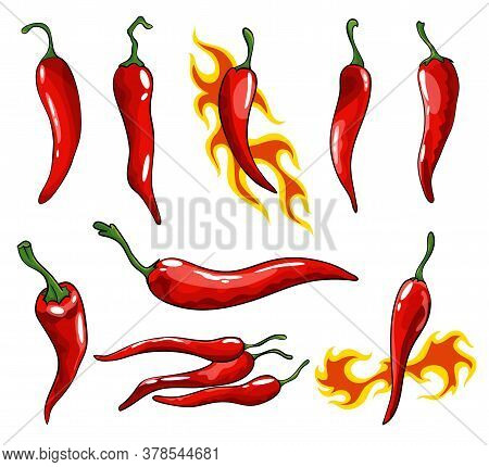 Collection Of Hand Drawn Chili Peppers. Super Hot Red Chilli Peppers. Red Isolated Mexican Peppers O