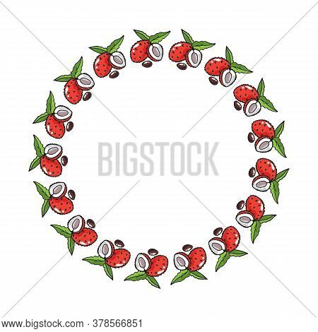 Circle Frame With Lychees Isolated On White Background. Vector Illustration. Doodle Style. Design El