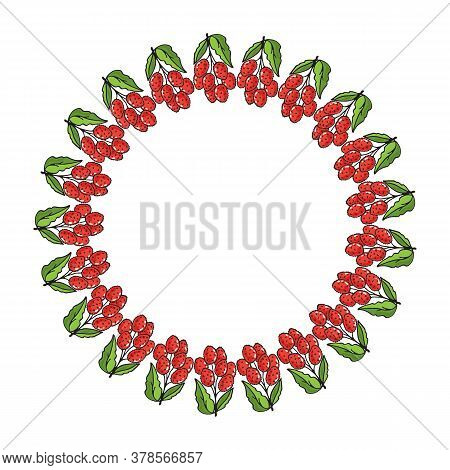Circle Frame With Lychees Isolated On White Background. Vector Illustration. Doodle Style. Design El