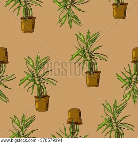Endless Pattern From Yukas Houseplant, On A Brown Background