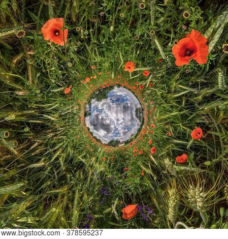 Inversion Of Little Planet Transformation Of Spherical Panorama 360 Degrees. Spherical Abstract Aeri