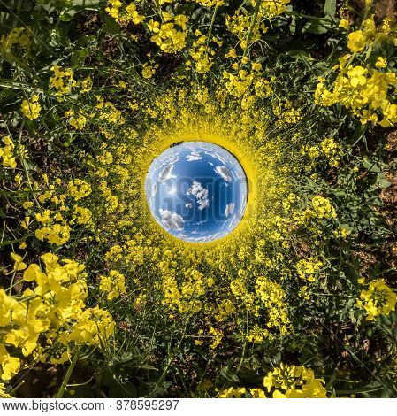 Inversion Of Little Planet Transformation Of Spherical Panorama 360 Degrees. Spherical Abstract Aeri