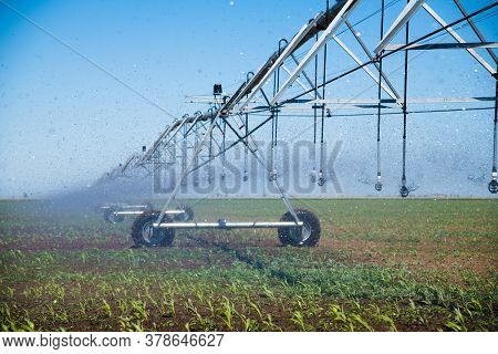 Modern Agricultural Irrigation System Spraying In Field