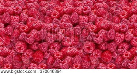 Ripe Raspberries. Sweet fresh berries isolated on white background. Top view close up. Organic natural food for healthy eating. Ingredient for Food Packagion Design, Seamless Background pattern.