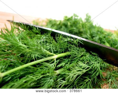 Dill Herb Cut