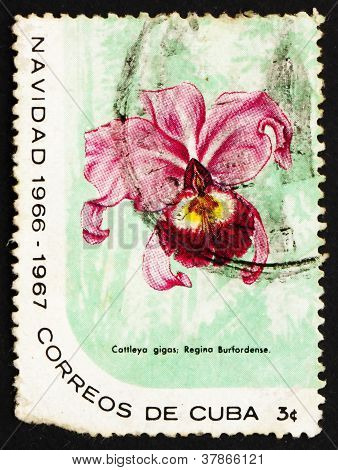 Postage stamp Cuba 1899 Cattleya Warscewiczii ReginaeBurfordens