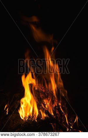 Dark Background Bonfire From Branches In The Fireplace . Flame And Sparks.