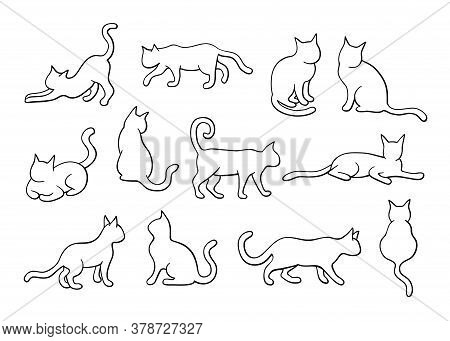 Cat Illustration Set, Outline Silhouette, Line Art. Collection Of Cats In Different Position, Standi