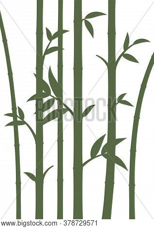 Background With Bamboo Stems. Home Wall Decor In Minimalist Style. Poster For Living Room. Vector Il