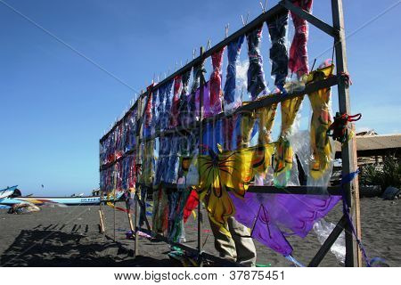 kites