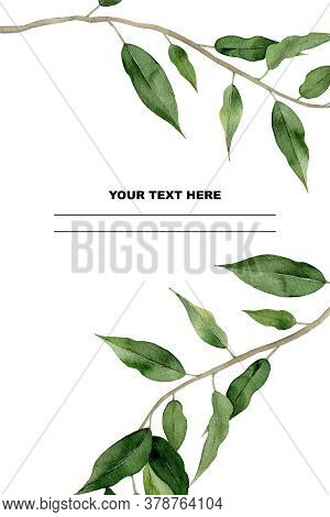 Watercolour Ficus Leaves Frame. Design For A Greeting, Wedding Invitation, Postcard, Card, Notebook.