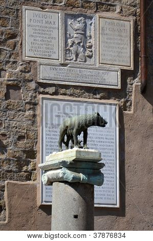Wilczyca prosię Romulus i Remus