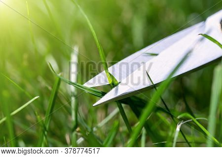 Close-up Detail View Of Man Hand Cutting Green Grass On Backyard Garden With Small Nail Scissors On 