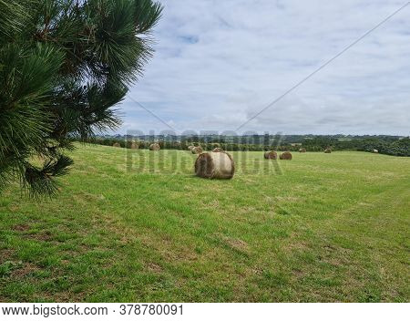Torteval Feilds And Countryside, Guernsey Channel Islands