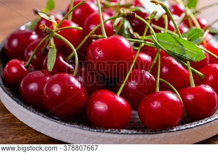 New Harvest Of Red Ripe Juicy Sour Cherry Or Kriek Berry Fruit