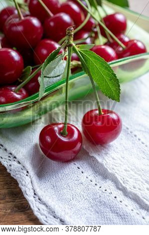 New Harvest Of Red Ripe Juicy Sour Cherry Or Kriek Berry Fruit