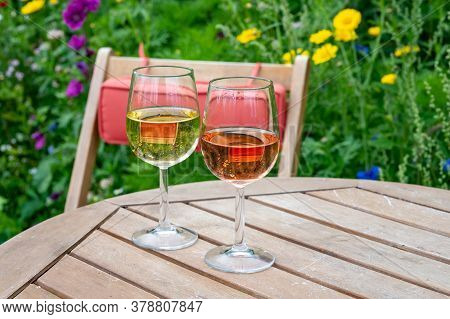 Tasting Of Dutch Sparkling Rose And Dry White Wine On Vineyard In Summer