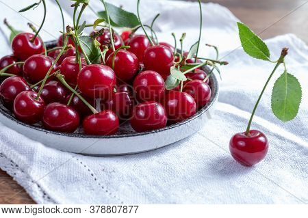 New Harvest Of Red Ripe Juicy Sour Cherry Or Kriek Berry Fruit