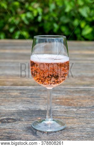 Tasting Of Dutch Sparkling Rose Wine On Vineyard In Summer