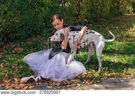 hairless dalmatian