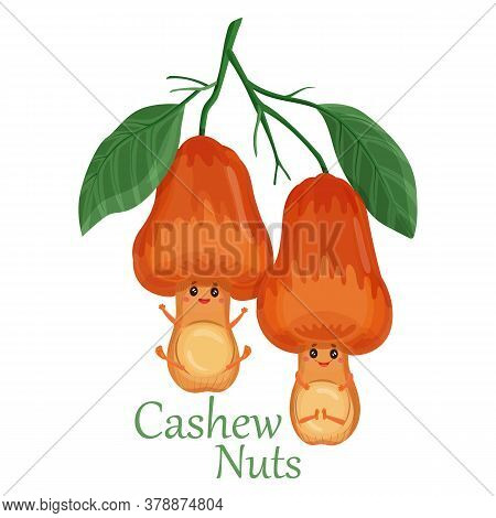 Cashew Nuts Plant Icon In Cartoon Style. Funny Smiling Cashew Characters With Leaves On A Branch. Se
