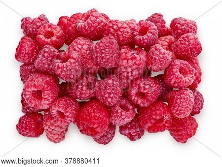 Ripe Raspberries. Sweet fresh berries isolated on white background with soft shadow. Top view close up. Organic natural food for healthy eating. Ingredient for Food Packagion Design.