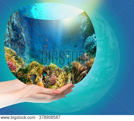 Globe In Human Hand Against Blue Sky. Environmental Protection Concept. Underwater World. Coral Fish