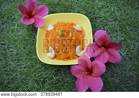 Gajar Ka Halwa Is A Carrot Based Sweet Dessert Pudding In India And Pakistan. Garnished With Cashewn