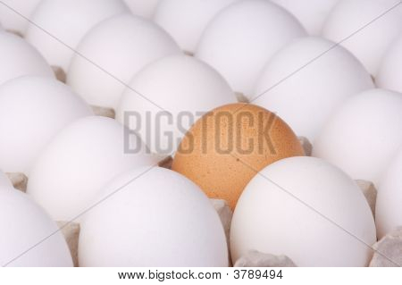 Ägg
