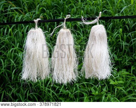 Odapoovu Or Bamboo Flower, Made Of Beaten Bamboo,a  Special Offering At Kottiyoor Temple.
Kottiyoor 