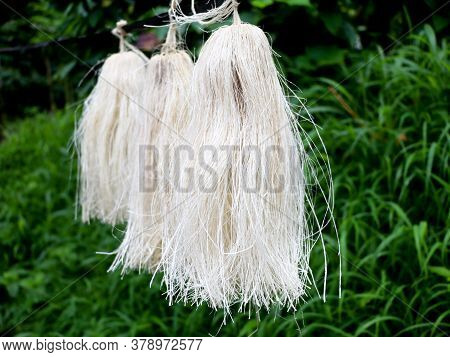 Odapoovu Or Bamboo Flower, Made Of Beaten Bamboo,a  Special Offering At Kottiyoor Temple.
Kottiyoor 