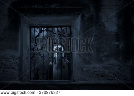 Lesser Adjutant Stork Bird Standing In Old Damaged Window With Wall Over Cross, Church, Dead Tree An