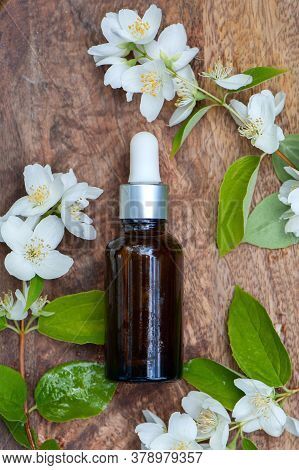 Essential Jasmine Oil. Bioproduct, Organic Cosmetics. Perfumery, Cosmetology, Aromatherapy