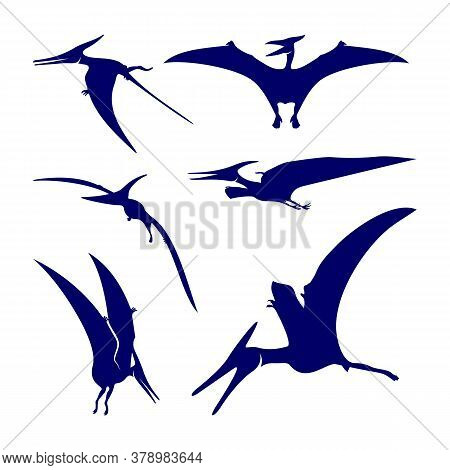 Set Of Pterosaurs Logo Design Vector. Icon Symbol. Template Illustration